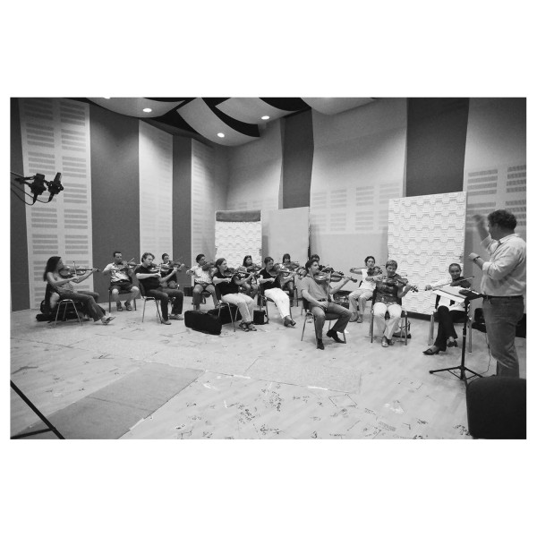 Vienna Symphonic Library Special Edition Vol. 1 Essential Orchestra