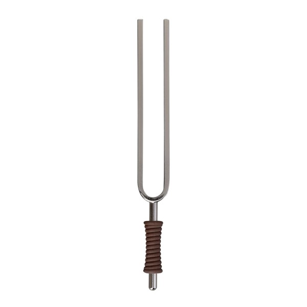 Sela Wellness Tuning Fork, Platonic Year