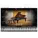 Vienna Symphonic Library Studio Bosendorfer 280VC