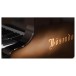 Vienna Symphonic Library Studio Bosendorfer 280VC