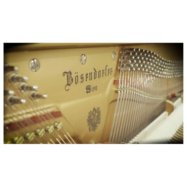 Vienna Symphonic Library Studio Bosendorfer Upright
