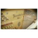 Vienna Symphonic Library Studio Bosendorfer Upright
