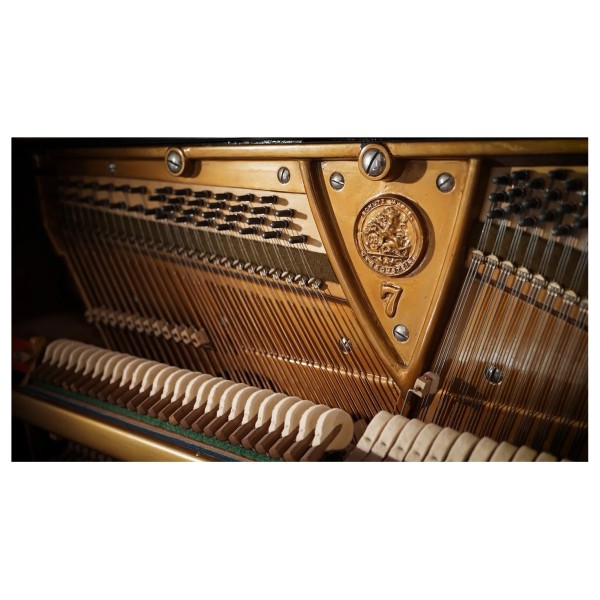 Vienna Symphonic Library Studio German Upright 1904 