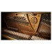 Vienna Symphonic Library Studio German Upright 1904 