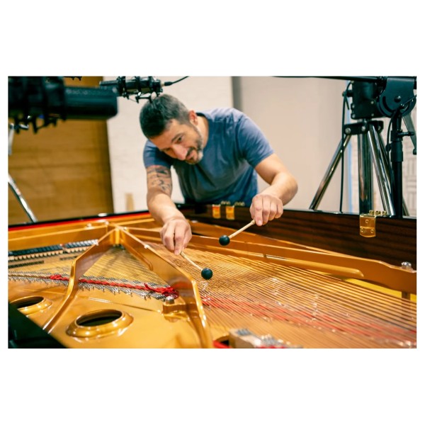 Vienna Symphonic Library Studio FX Piano 