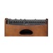 Hughes & Kettner era 1 Acoustic Amp, Wood Finish control panel