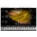 Vienna Symphonic Library Concert D-274 Essentials