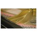 Vienna Symphonic Library Concert D-274 Essentials