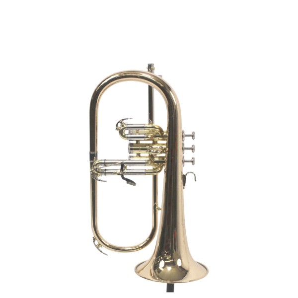 CDM2838