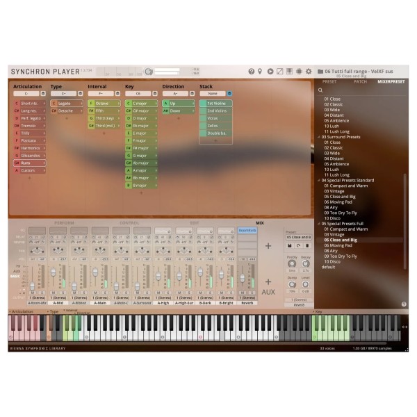 Vienna Symphonic Library Synchron Duality Strings