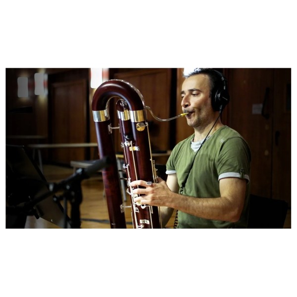 Vienna Symphonic Library Synchron Woodwinds 