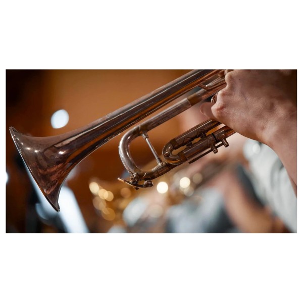 Vienna Symphonic Library Synchron Brass