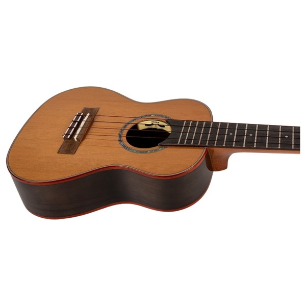 Flight Diana Concert Electro Ukulele, Cedar Top - Controls