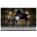 Vienna Symphonic Library Synchron Concert D-274 