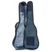 Martin LX2LIG Little Martin, Life is Good - open gig bag