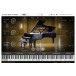 Vienna Symphonic Library Synchron Yamaha CFX 
