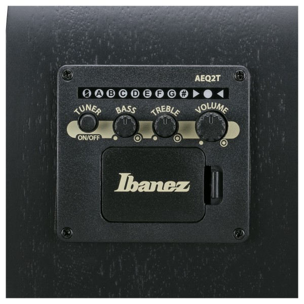 Ibanez AEGB420-BOT 4-String Acoustic Bass, Black Out - preamp controls