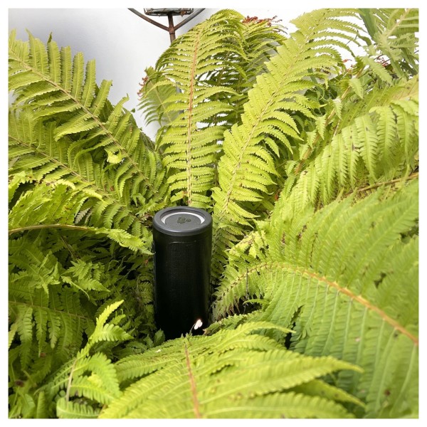 POCA AUDIO Pine Beat Portable Bluetooth Speaker Tiny Home - [plant