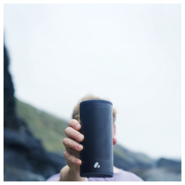 POCA AUDIO Pine Beat Portable Bluetooth Speaker Tiny Home - mountains 