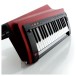 Korg RK100S2 Keytar, Red - Angle