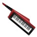 Korg RK100S2 Keytar, Red