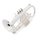 Yamaha YCR6335 Professional Cornet, Silver Plated