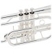 Yamaha YCR6335 Professional Cornet, Silver Plated