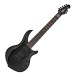 Music Man Majesty 7 String, Dark Side
