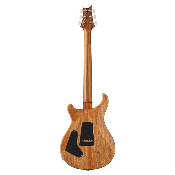 PRS Custom 24 'Birds of a Feather' Limited Edition, Charcoal Microburst - back