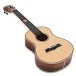 Snail BHC-5T Solid Spruce Top Tenor Ukulele