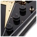 Gibson Custom Flying V Custom w/ Ebony Fingerboard Gloss, Ebony #CS600632 - controls