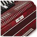 Deluxe Accordion by Gear4music, 48 Bass