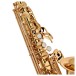 Yamaha YAS62 Professional Alto Saxophone, Gold