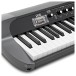 Korg SV2 Stage Piano, 88 Key