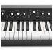 Korg SV2 Stage Piano, 88 Key