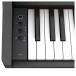 Roland RP107 - Panel