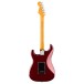 Fender American Professional Stratocaster RW, Oxblood - back