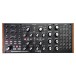 Moog Subharmonicon Synth - Top
