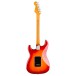 Fender American Professional Stratocaster HSS RW, Aged Cherry Burst - back