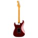Fender American Professional Stratocaster HSS RW, Oxblood - back
