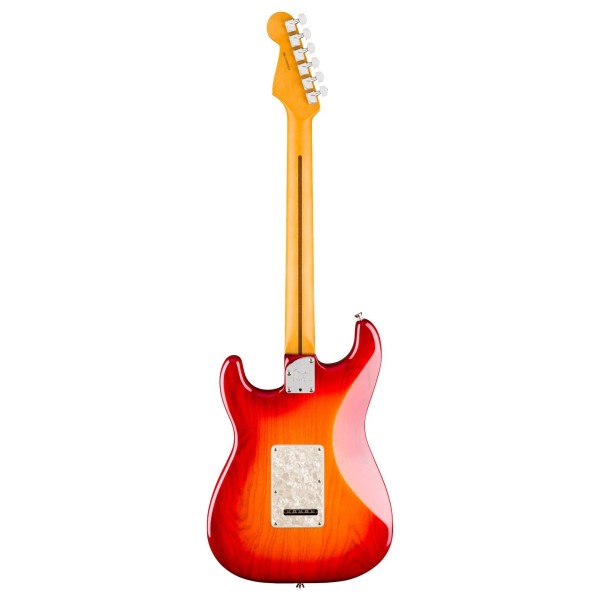 Fender American Professional Stratocaster MN, Aged Cherry Burst - back