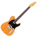 Fender American Professional Telecaster RW, Naturel