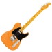 Fender American Professional Telecaster MN, Naturel