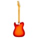 Fender American Professional Telecaster MN, Aged Cherry Burst - back