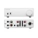 Topping Mini 300 Power Amplifier, Silver