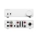 Topping Mini 300 Power Amplifier, White