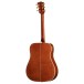 Gibson Dove Anniversary Limited Edition, Cremona Burst - back