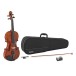 Gewa Sonata Violin Outfit, 4/4, Bulletwood Bow, Shaped Case 1