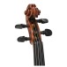 Gewa Sonata Violin Outfit, 4/4, Carbon Bow, Oblong Case 5