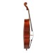 Gewa Sonata Cello Outfit, 4/4, Carbon Bow 3